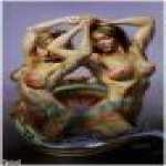 thumb_1566 (Medium).jpg